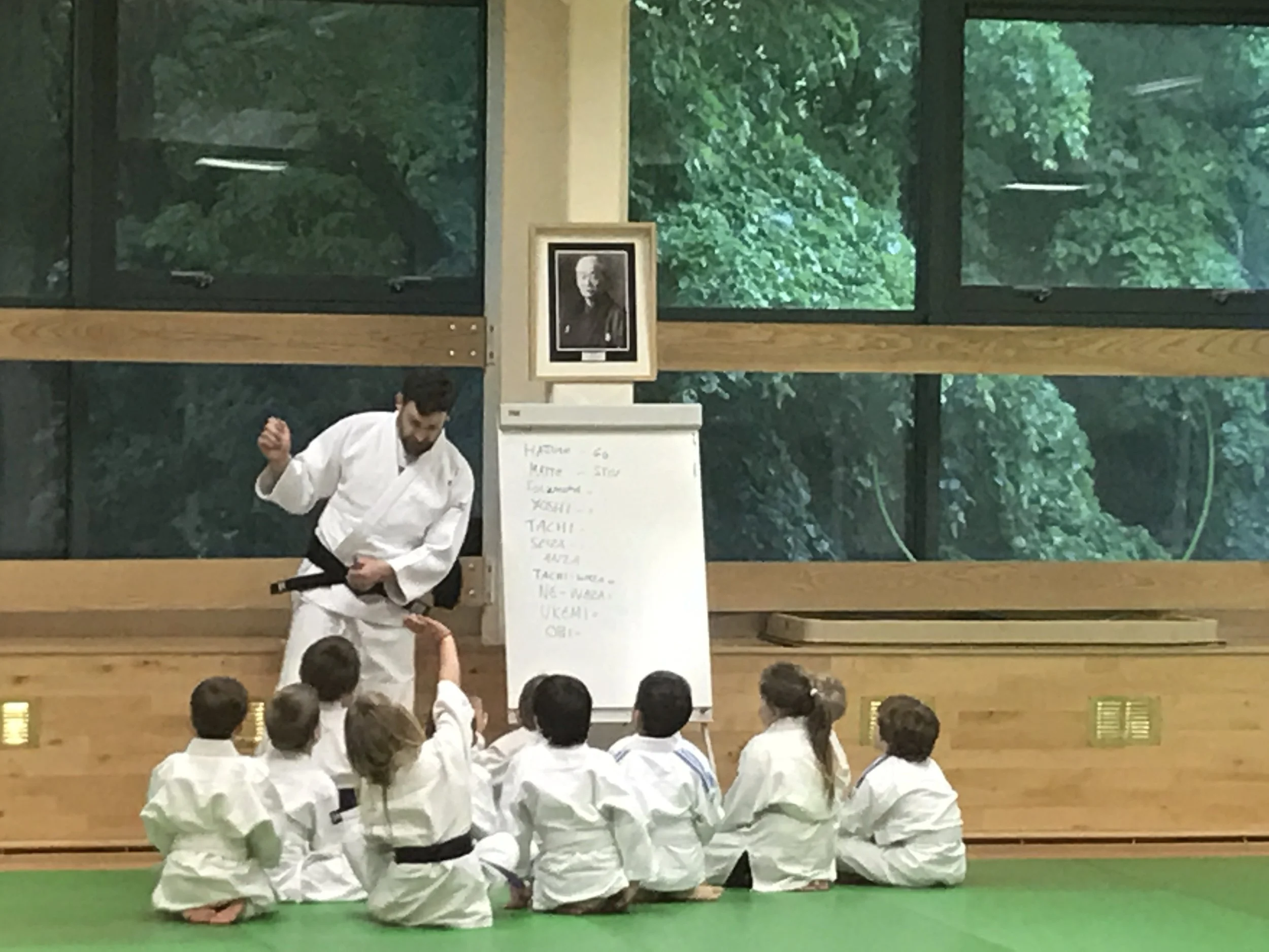 Cardiff Judo Academy logo