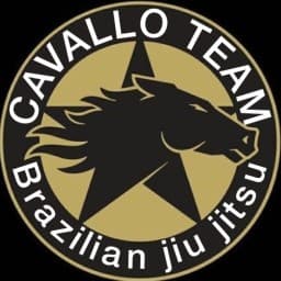 Cavallo Team logo
