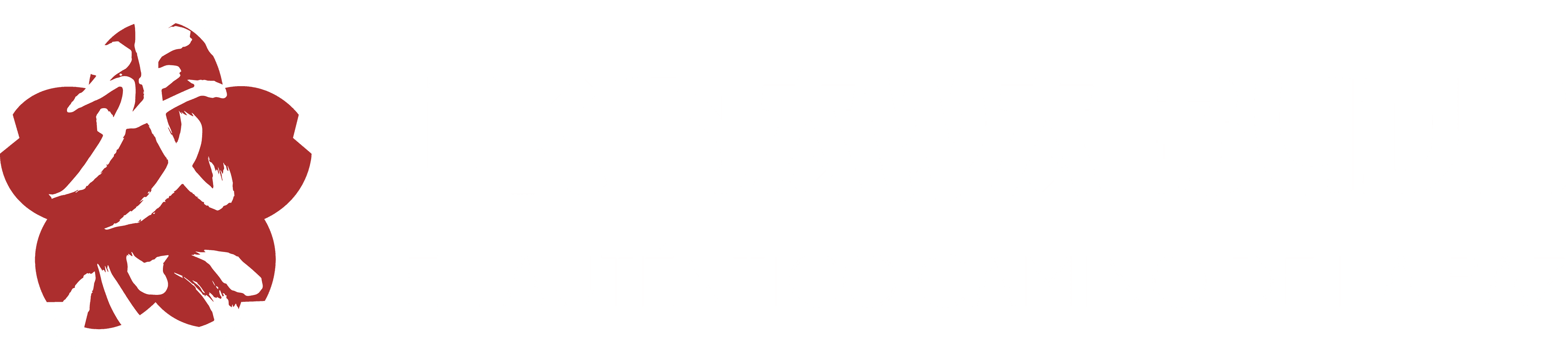 Centro de Artes Marciales en Murcia | Okinawa Budo logo