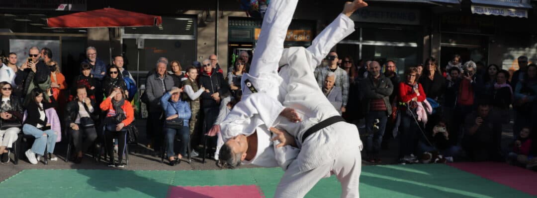Main image of Centro Studi Judo Fior di Loto