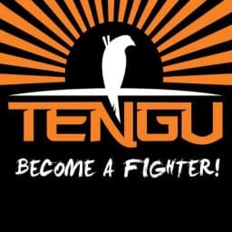 Centru de Arte Martiale Tengu logo