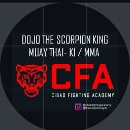 CFA Dojo The Scorpion king logo