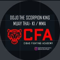 CFA SCORPION KINGZ logo