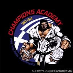 CHAMPION ACADEMY KYOKUSHINDO logo