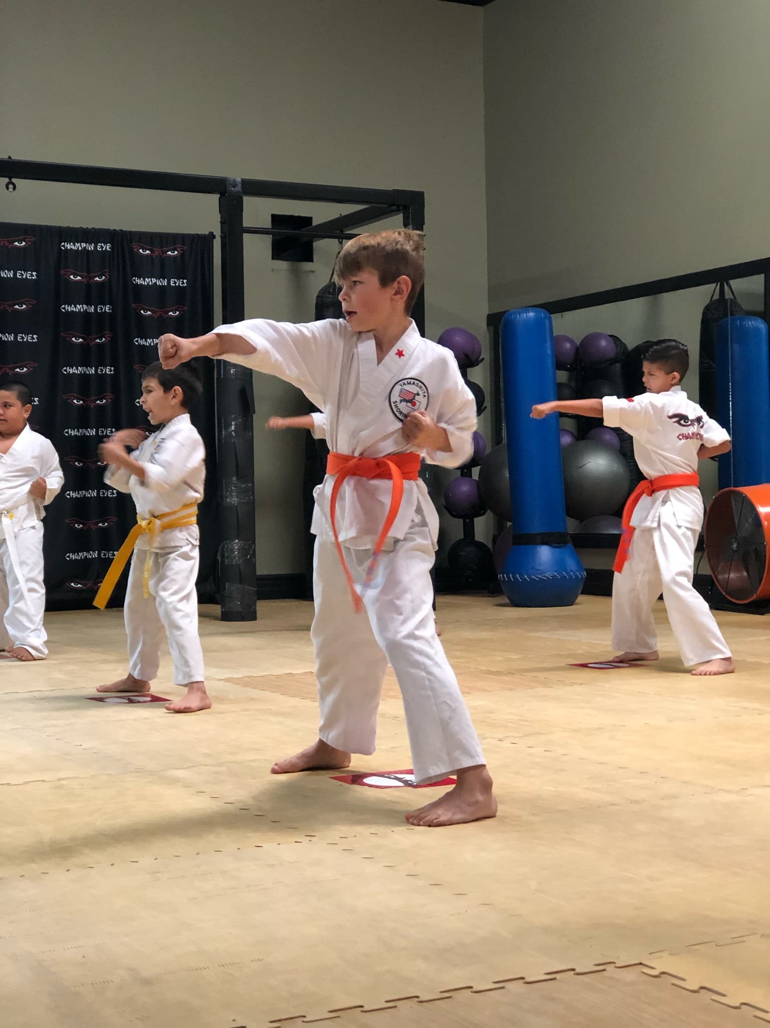 Champion Eyes Martial Arts logo