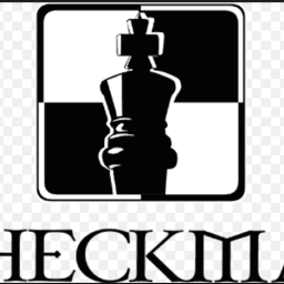 Checkmat BJJ Dallas logo