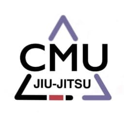 Chiang Mai University logo