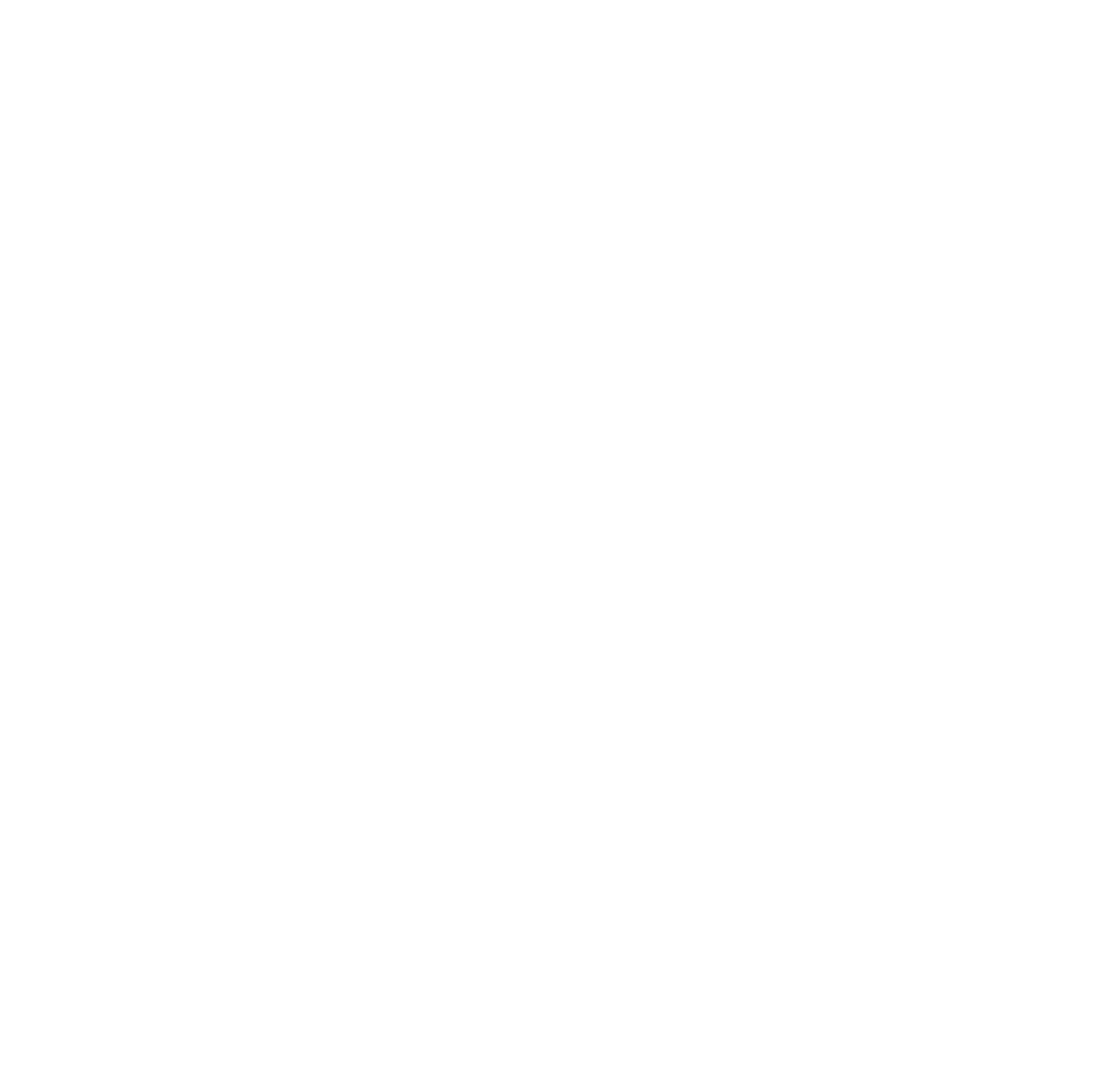 Chimp Gym Brazilian Jiu Jitsu logo