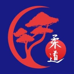 Club de judo y bjj David logo