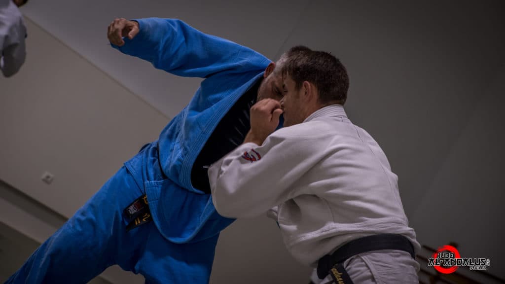 Main image of Club Deportivo Al-Andalus Judo Sevilla. Polideportivo Hytasa