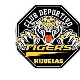 Club Deportivo Tigers Hijuelas logo