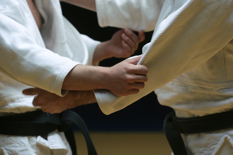 Main image of Club Judo La Chenaie