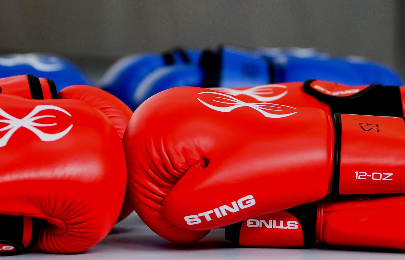 Main image of Club Lausannois de boxe