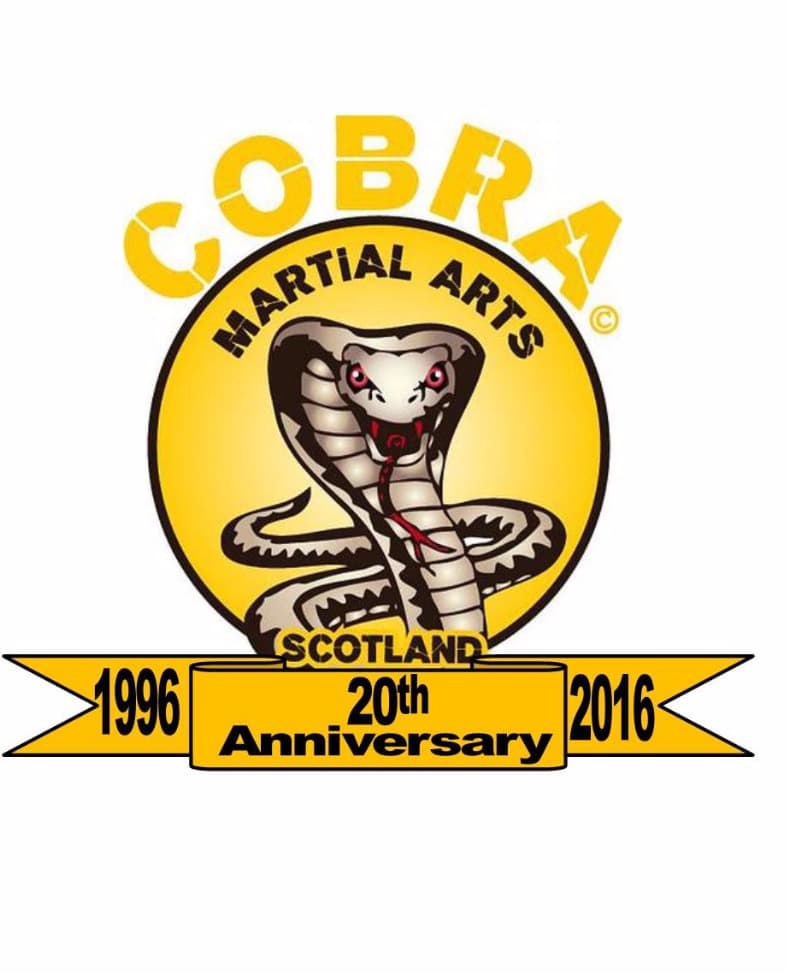 Main image of Cobra Martial Arts
