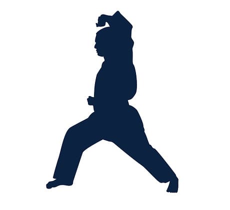 Main image of Cojalina Martial Arts