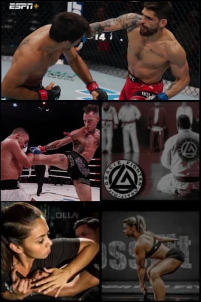 Combat Sports Academy logo