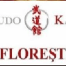 CS BUDOKAN FLOREȘTI logo