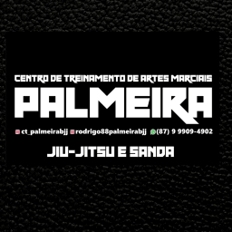 Ct palmeira logo