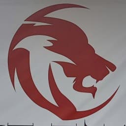 CUT TEAM MMA logo