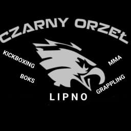 Czarny orzeł logo