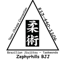 Dade City BJJ logo