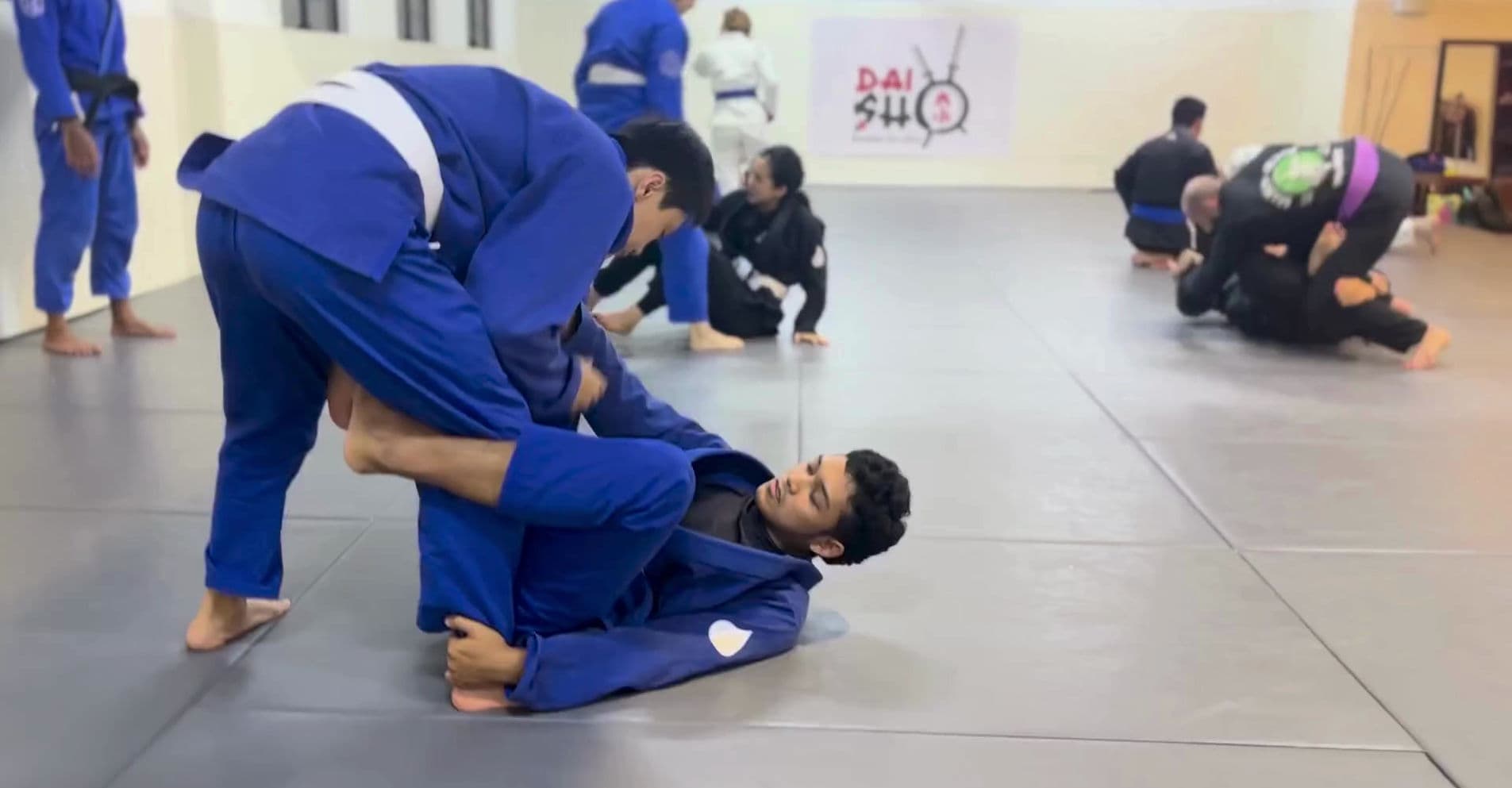 Main image of Daisho Jiujitsu