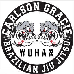 Damo Yuan logo