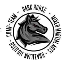 Dark Horse Fight Team logo