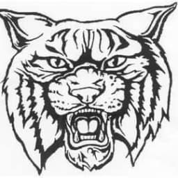 Dearborn Heights Wildcats Wrestling Club logo