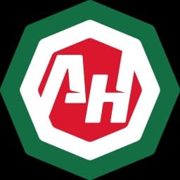 Delegación Hidalgo MMA logo