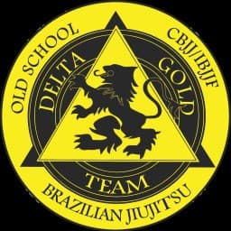 Delta gold team internacional logo