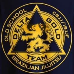 Delta Gold Teem DGT logo