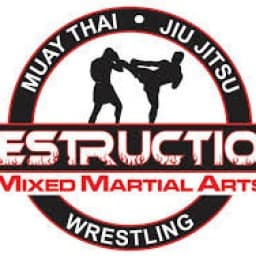 Destruction MMA logo