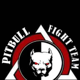 Di matteo-Pitbull fight team logo
