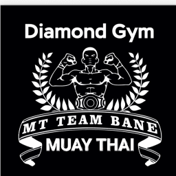 DIAMOND GYM TEAM BANE logo