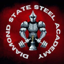 Diamond State Steel Academy logo