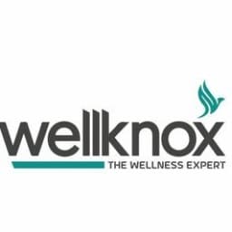 Digitalwellknox logo