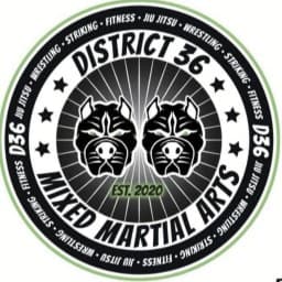 District 36 JJ logo