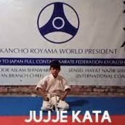 district khyber martial art academy logo