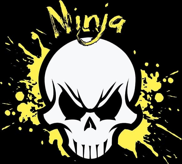 Main image of DISTRICT44 - PARCOURS NINJA WARRIOR & SPORTS DE COMBATS NANTES (MMA, JJB, SELF DÉFENSE)