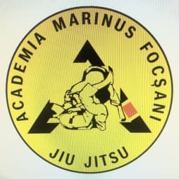 Dobrica Valerica Marian logo