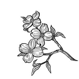 Dogwood Jiu Jitsu logo