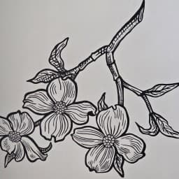 Dogwood Martial Arts logo
