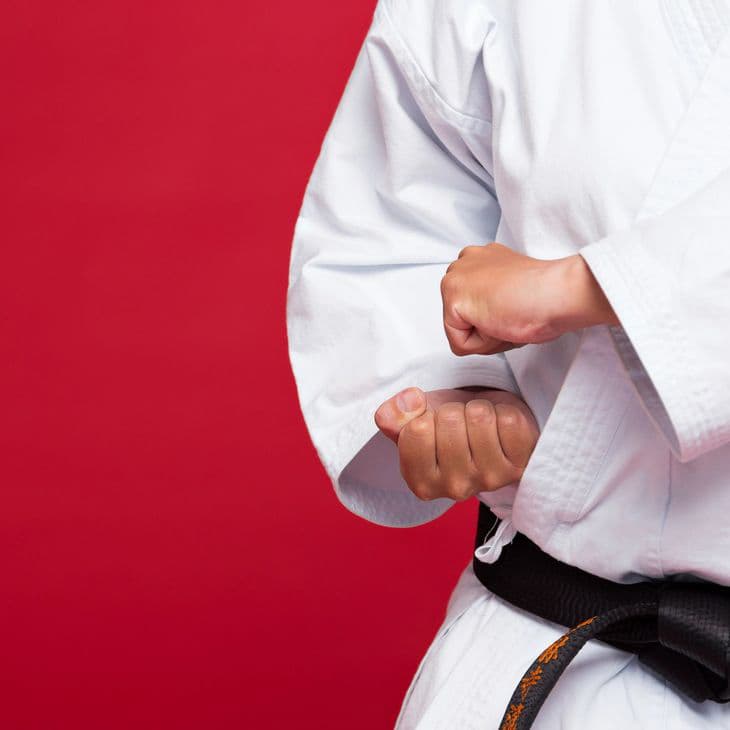 Main image of DOJO