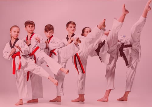 Main image of Dojo Bordeaux Talence Métropole