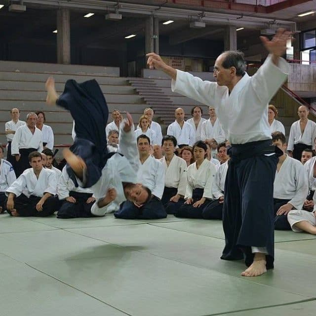 Main image of Dojo Italia ASD arti marziali ROMA