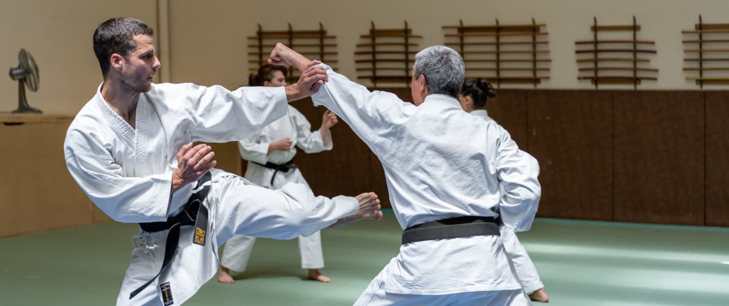 Main image of Dojo Masséna - Yoga Et Arts Martiaux