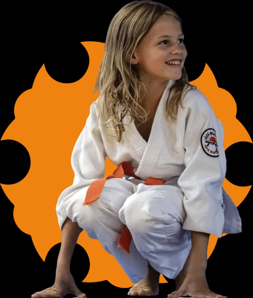 Main image of Dojo Nantais School Saint-Pierre