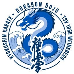 Doragon Dojo Weinsberg logo