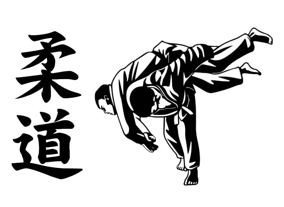 Main image of Dortmunder Budo SV e.V.
